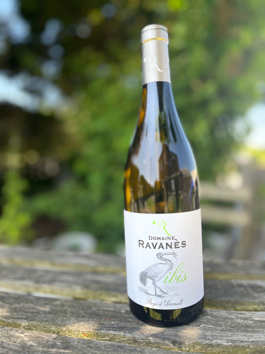 VIN BLANC - BIO - Languedoc - Domaine de Ravanès – Ibis blanc 2021 (75 cl)